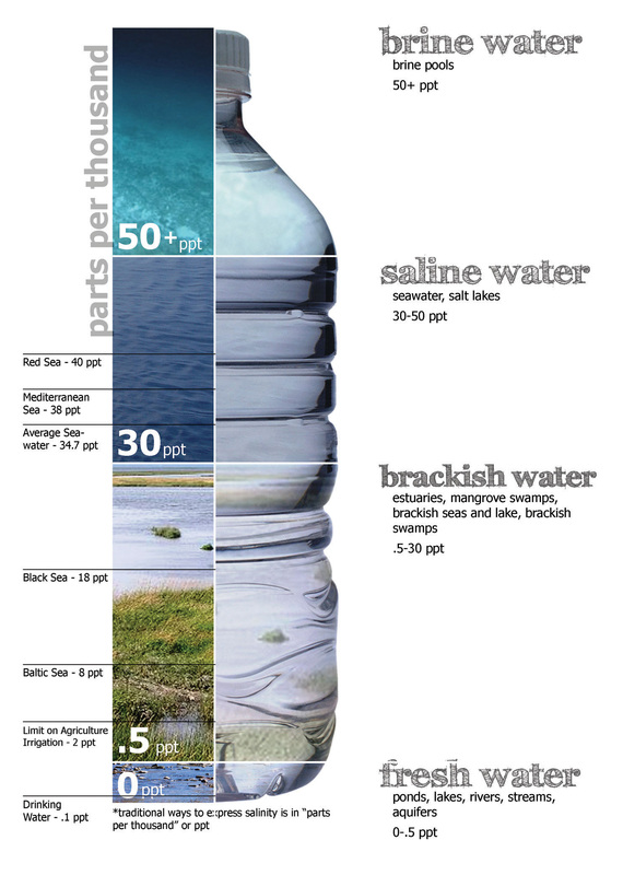 There is approximately the same amount of liquid brackish water on earth as there is liquid fresh water